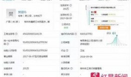 红星新闻爆料后怎么查询,揭秘事件背后真相